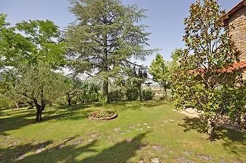 Cedri Cortona