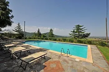 Cedri Cortona